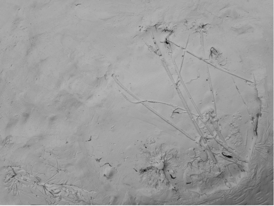 A drawing in the sand Description automatically generated
          with low confidence