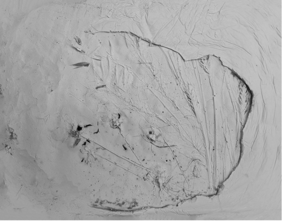 A
          picture containing linedrawing Description automatically
          generated