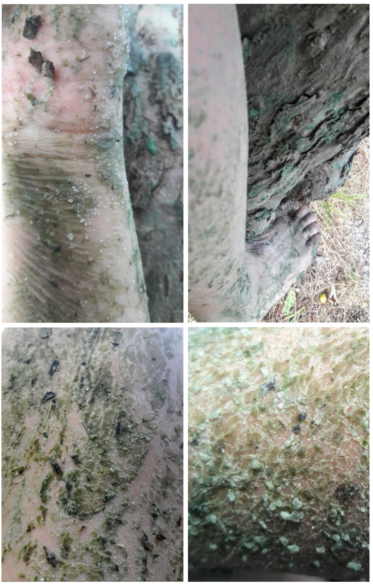 A
          picture containing different, cement Description automatically
          generated