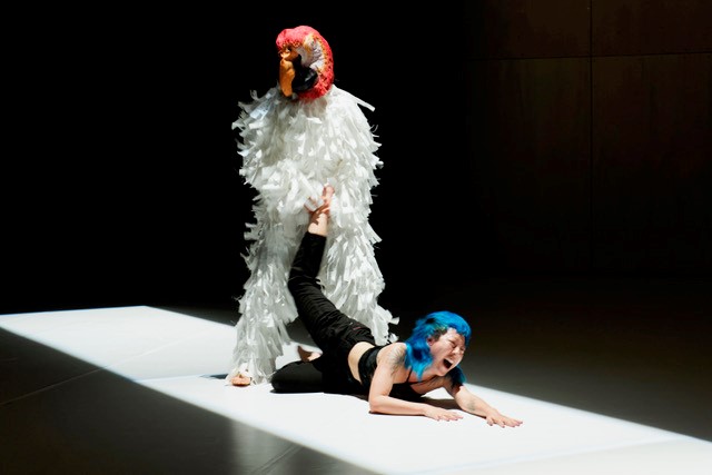 performance image